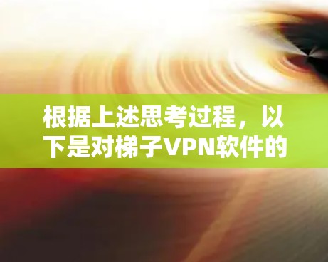 根据上述思考过程，以下是对梯子VPN软件的详细评价和总结