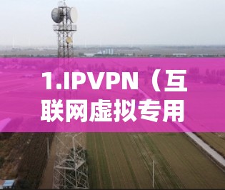 1.IPVPN(互联网虚拟专用网络)