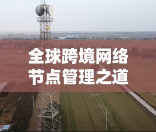 全球跨境网络节点管理之道,架构优化与维护策略 全球跨境网络节点管理之道,架构优化与维护策略