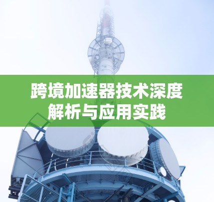 跨境加速器技术深度解析与应用实践