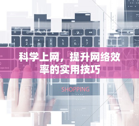 科学上网,提升网络效率的实用技巧