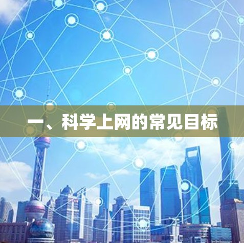 一、科学上网的常见目标