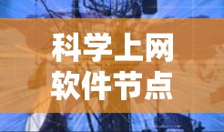 科学上网软件节点,构建高效网络环境的关键技术