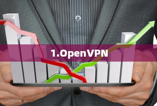 1.OpenVPN 1.OpenVPN