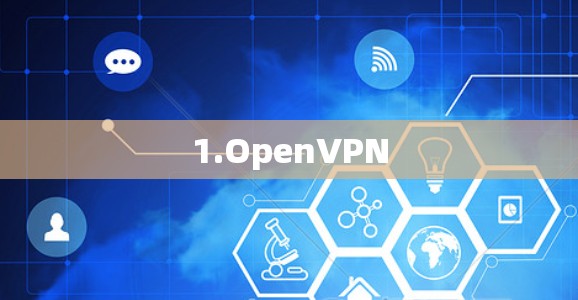 1.OpenVPN 1.OpenVPN