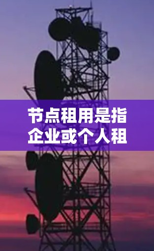 节点租用是指企业或个人租用计算资源，以支持应用程序的运行和业务需求。以下是详细的节点租用指南