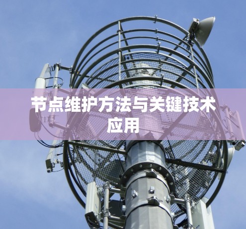 节点维护方法与关键技术应用 节点维护方法与关键技术应用