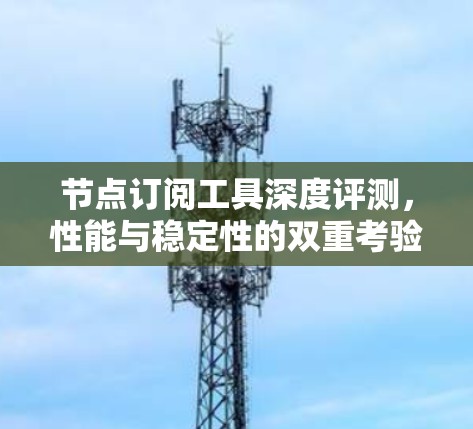 节点订阅工具深度评测，性能与稳定性的双重考验