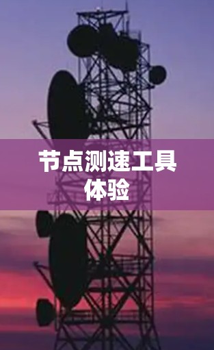 节点测速工具体验 节点测速工具体验