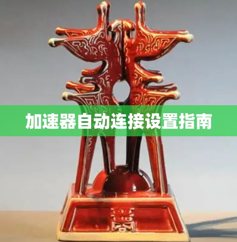 加速器自动连接设置指南