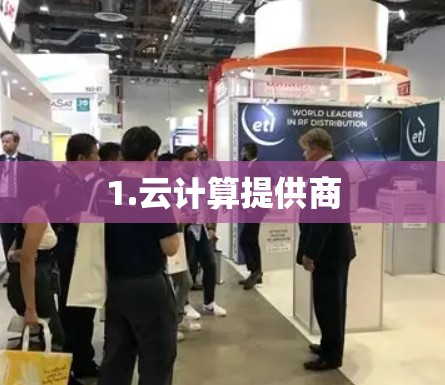 1.云计算提供商