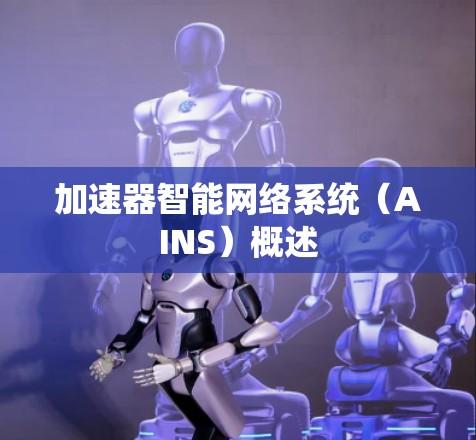 加速器智能网络系统(AINS)概述
