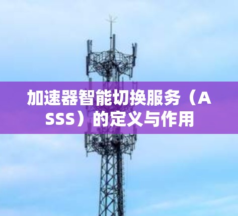 加速器智能切换服务（ASSS）的定义与作用