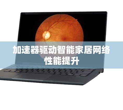 加速器驱动智能家居网络性能提升 加速器驱动智能家居网络性能提升