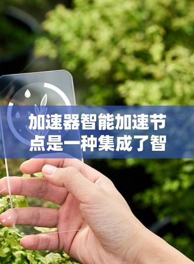 加速器智能加速节点是一种集成了智能化算法的加速技术，能够根据任务需求和数据特征动态调整计算策略，显著提升加速效率。以下是对其工作原理、应用场景、优势与挑战的总结