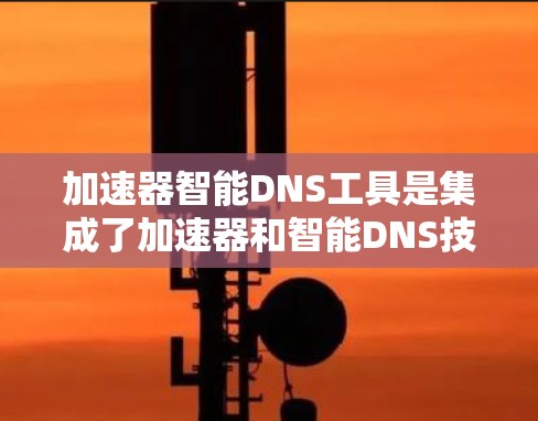 加速器智能DNS工具是集成了加速器和智能DNS技术的综合解决方案，旨在优化DNS解析和数据传输效率，提升网络性能。以下是其详细介绍