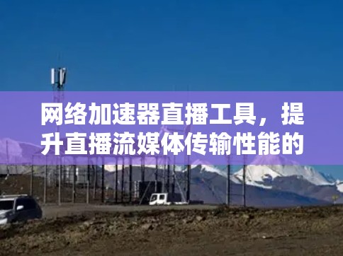 网络加速器直播工具，提升直播流媒体传输性能的关键技术