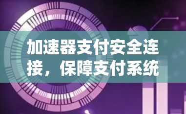 加速器支付安全连接,保障支付系统的高效与安全