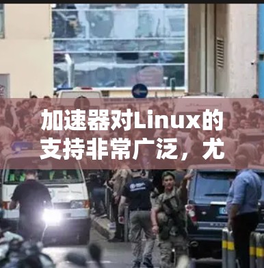 加速器对Linux的支持非常广泛，尤其是在数据处理和机器学习领域。以下是对不同加速器在Linux支持情况的总结