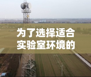 为了选择适合实验室环境的远程连接软件，我们可以根据以下几个关键因素进行综合分析