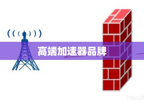 高端加速器品牌