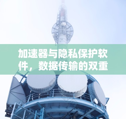 加速器与隐私保护软件，数据传输的双重保障