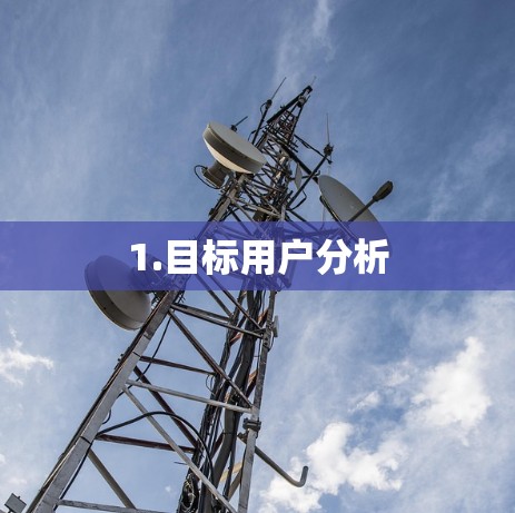 1.目标用户分析 1.目标用户分析