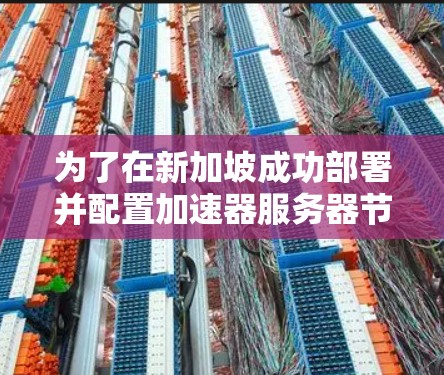 为了在新加坡成功部署并配置加速器服务器节点,可以按照以下步骤进行