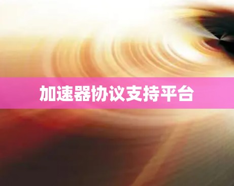 加速器协议支持平台