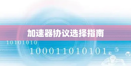 加速器协议选择指南 加速器协议选择指南