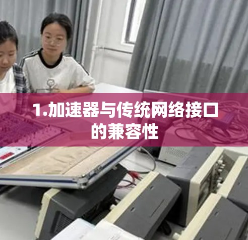 1.加速器与传统网络接口的兼容性 1.加速器与传统网络接口的兼容性