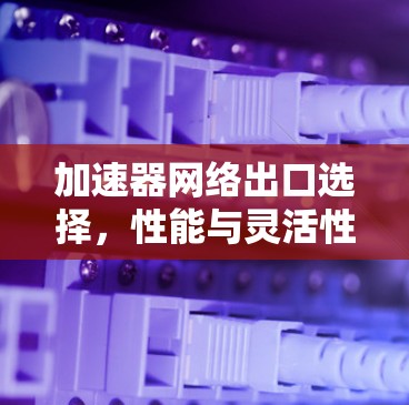 加速器网络出口选择,性能与灵活性的平衡 加速器网络出口选择,性能与灵活性的平衡