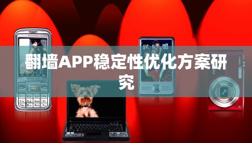 翻墙APP稳定性优化方案研究