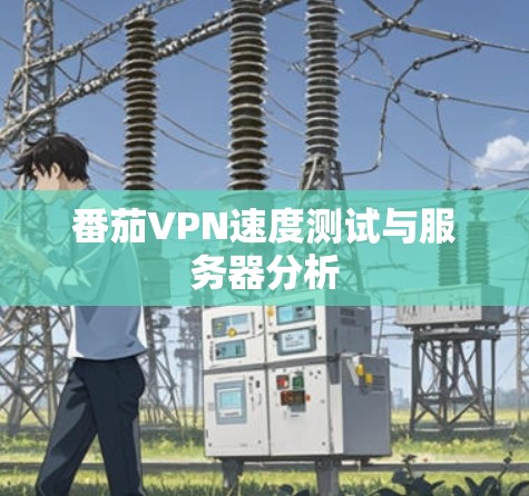 番茄VPN速度测试与服务器分析 番茄VPN速度测试与服务器分析