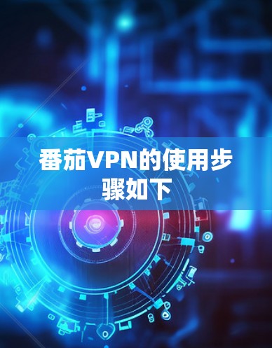 番茄VPN的使用步骤如下