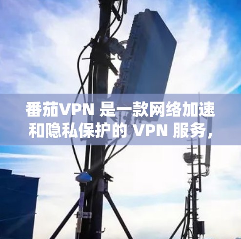 番茄VPN 是一款网络加速和隐私保护的 VPN 服务,用户可以通过它来绕过网络限制、加速网络连接。以下是使用番茄VPN 在电脑上的设置方法,特别是网络加速相关的配置步骤