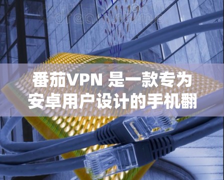 番茄VPN 是一款专为安卓用户设计的手机翻墙工具，旨在帮助用户绕过网络限制，访问受限的网站和服务。它以其简单易用的界面和高效的性能而闻名，适用于多种场景，如观看外部引流视频、访问国内外网络资源等