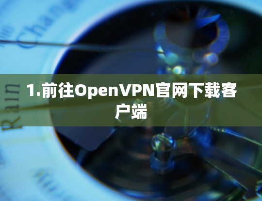 1.前往OpenVPN官网下载客户端