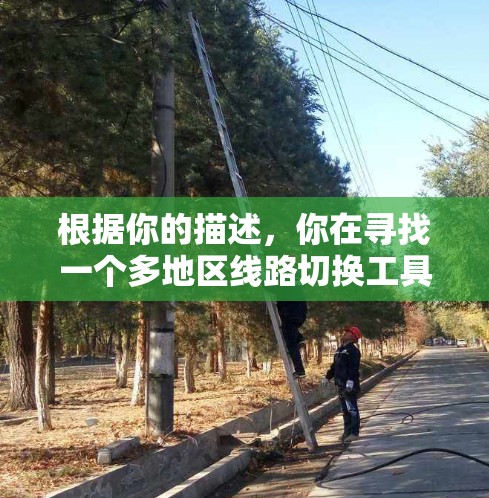 根据你的描述,你在寻找一个多地区线路切换工具,这可能是NetSwitch或类似的软件。以下是详细的解决方案