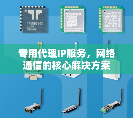 专用代理IP服务,网络通信的核心解决方案