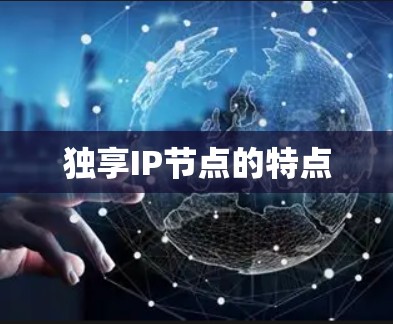 独享IP节点的特点
