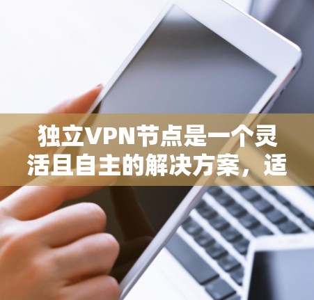 独立VPN节点是一个灵活且自主的解决方案，适合那些需要高度控制和定制化配置的用户。以下是关于独立VPN节点的详细分析和总结