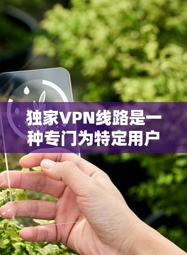 独家VPN线路是一种专门为特定用户或企业设计的虚拟专用网络服务，提供高度的安全性和定制化，适用于需要保护敏感数据或访问特定服务器的场景。以下是对独家VPN线路的详细分析