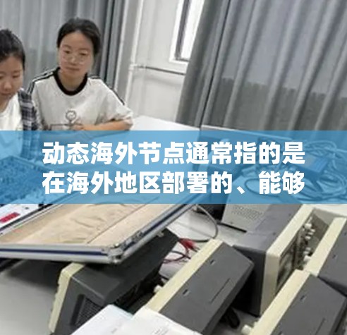 动态海外节点通常指的是在海外地区部署的、能够动态调整位置或规模的网络节点。这些节点通常用于提供更低的延迟、更好的带宽或更高的可用性，来满足用户或业务的需求