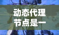 动态代理节点是一种在运行时动态生成代理类的技术，主要用于实现AOP（面向切面编程）以下是对动态代理节点的详细分析