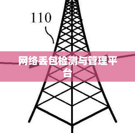 网络丢包检测与管理平台