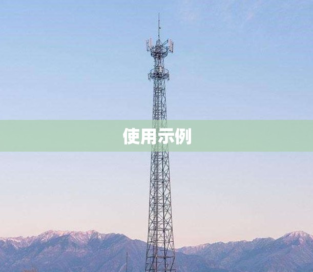 使用示例