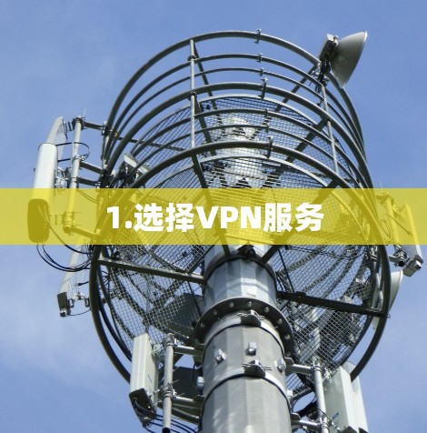 1.选择VPN服务