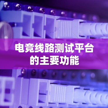 电竞线路测试平台的主要功能