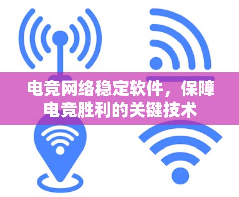 电竞网络稳定软件,保障电竞胜利的关键技术 电竞网络稳定软件,保障电竞胜利的关键技术